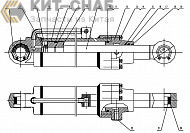 CG958G-ZA-00 Steering Cylinder