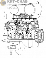 Двигательная система 3